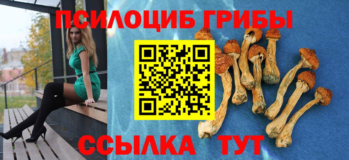 Галлюциногенные грибы Magic Shrooms Егорьевск